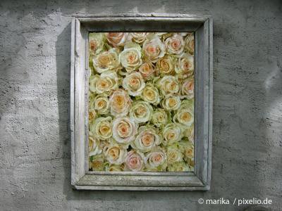 Wandgestaltungs-Tipps für deine Wohnung