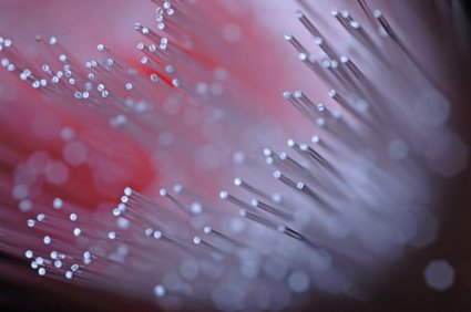 Fiberglas und seine große  Designvielfalt